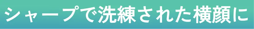 団子鼻を解消して、スッキリとした忘れ鼻に