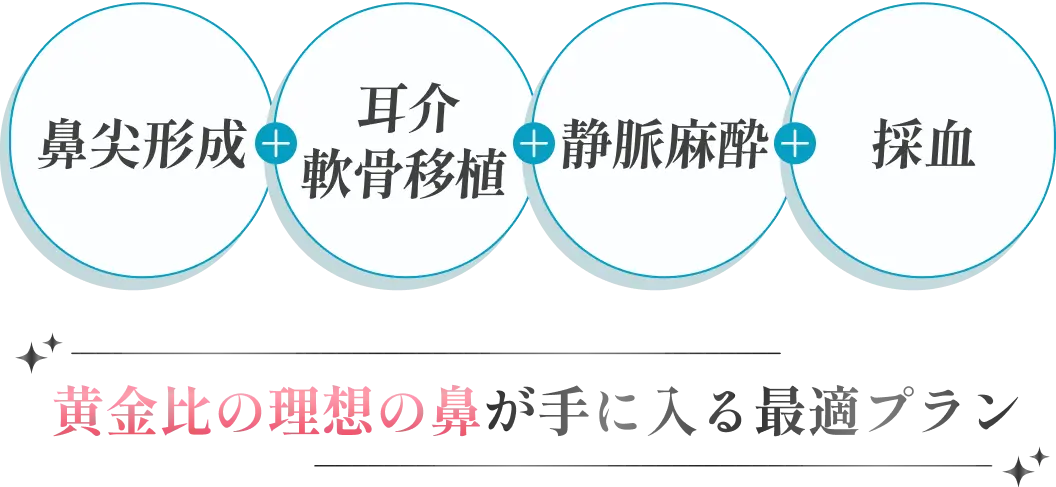 黄金比の理想の鼻が手に入る最適プラン