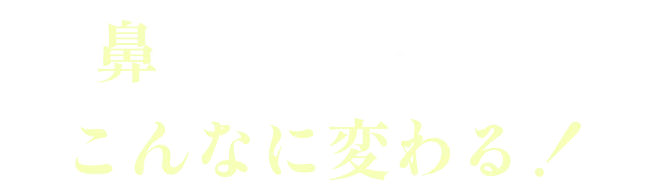 鼻だけで第一印象がこんなに変わる!